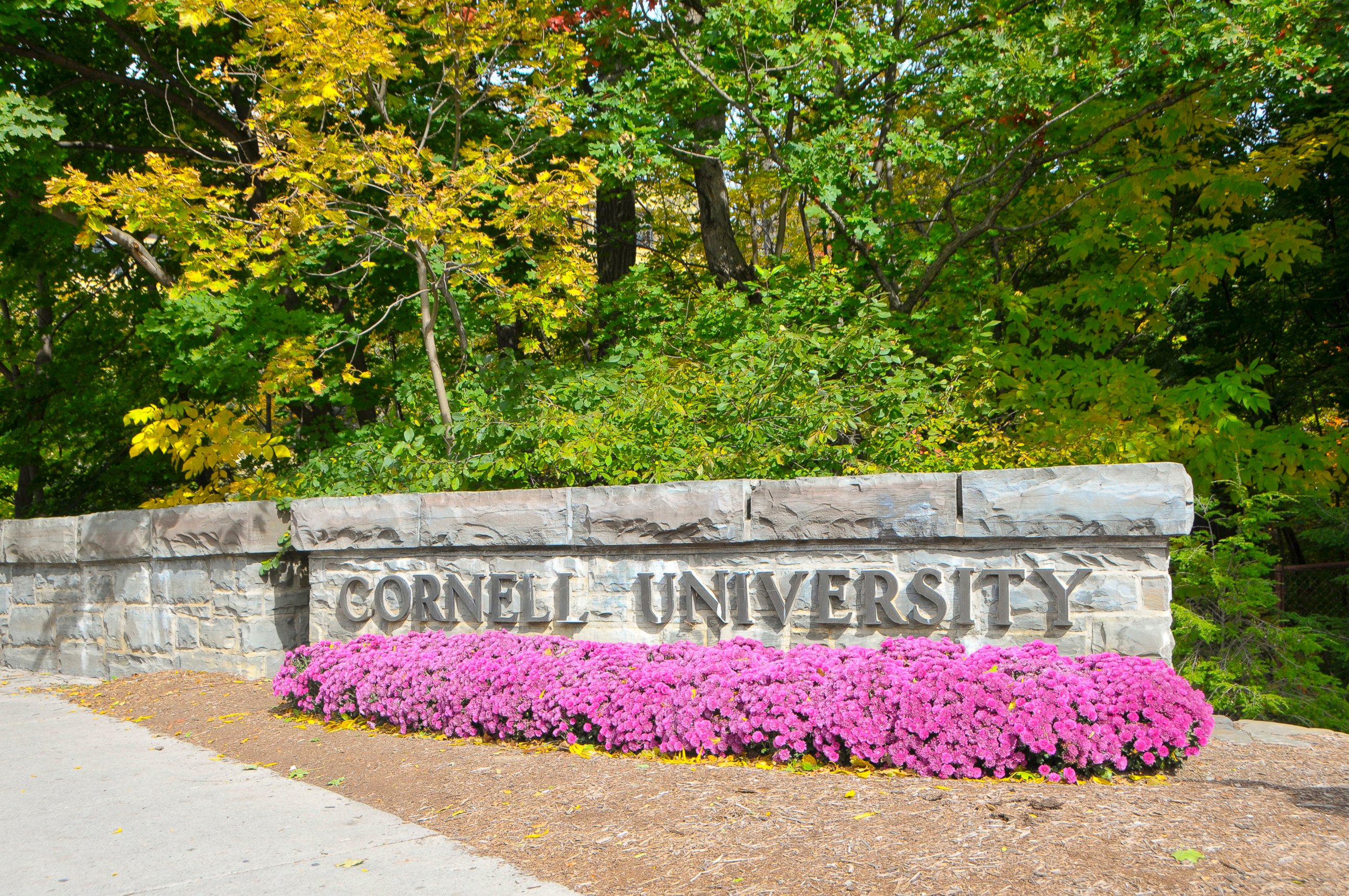 PHOTO: Cornell University Campus in Ithaca, New York is pictured in this undated stock photo.