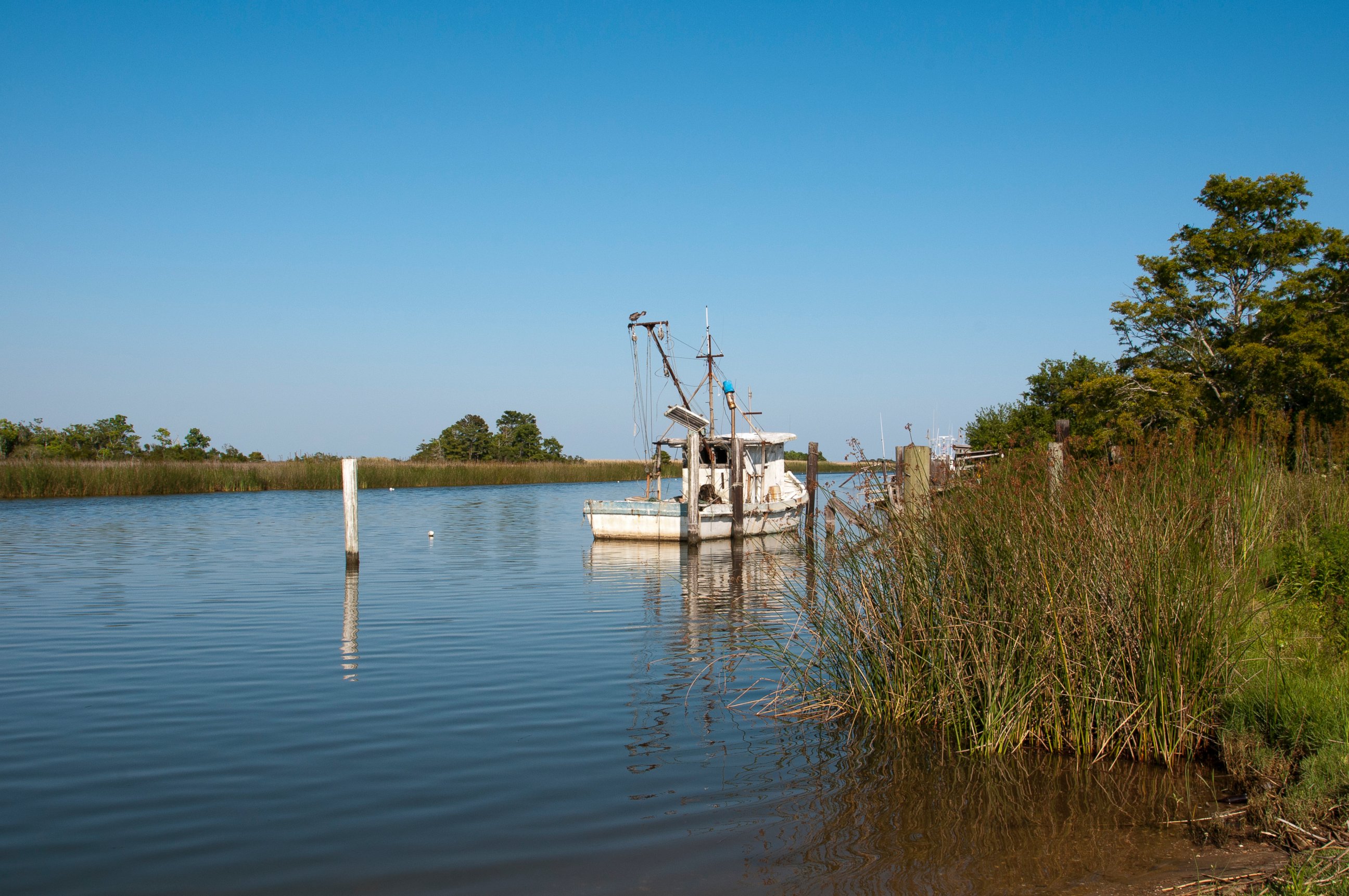 PHOTO: Fishing boat on the Apalachicola River in Florida.