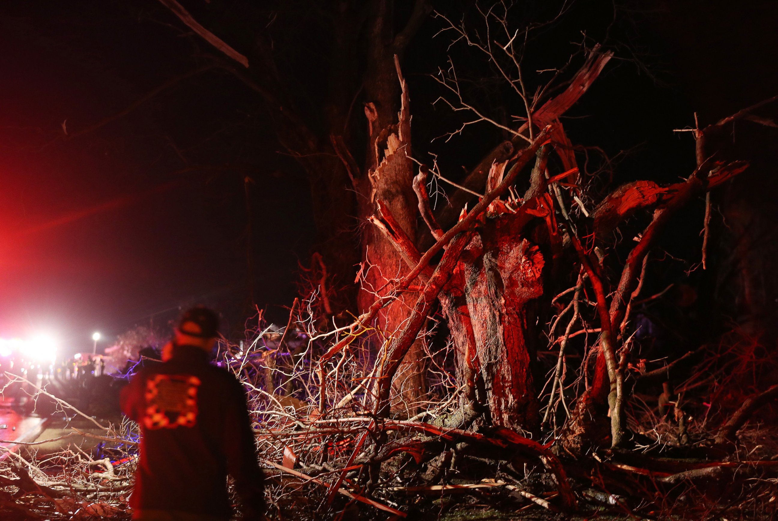 PHOTO: Trees are mangled on Highway 72 after a tornado touched down in Fairdale, Ill., April 9, 2015.
