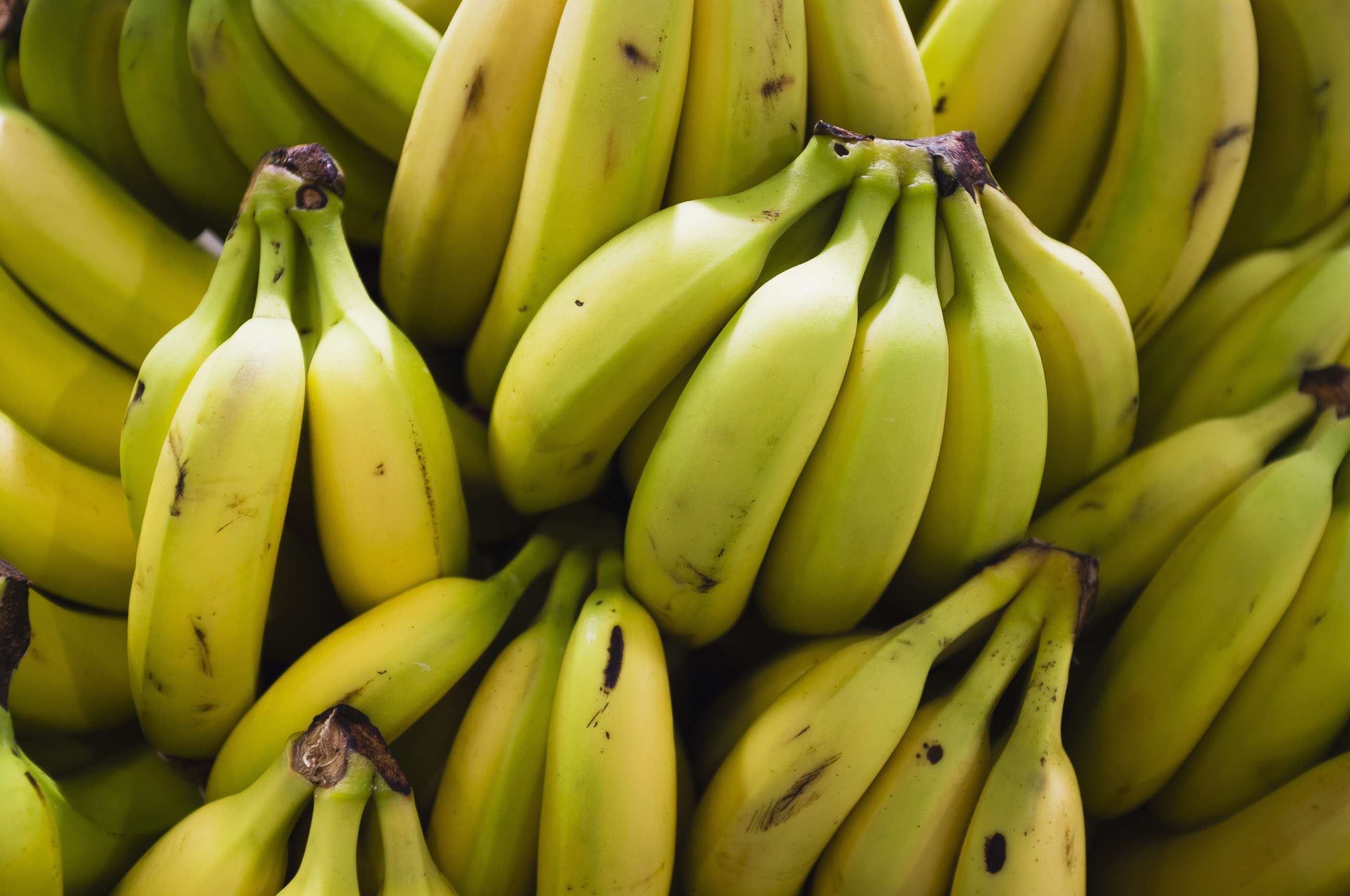 PHOTO:Bananas are pictured in an undated stock photo.