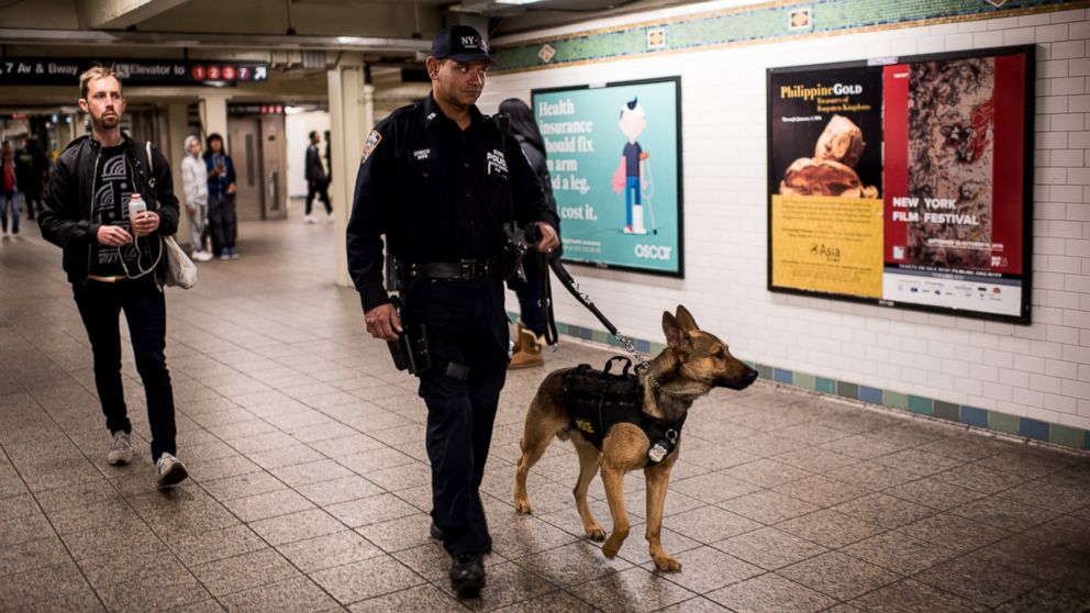 PHOTO: A police officer patrols the Times Square subway stop with his dog following a series of terrorist attacks in Paris on Nov. 14, 2015 in New York City. 