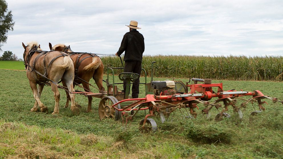 Hospital Battling Amish Family's Decision to End Girl's ...