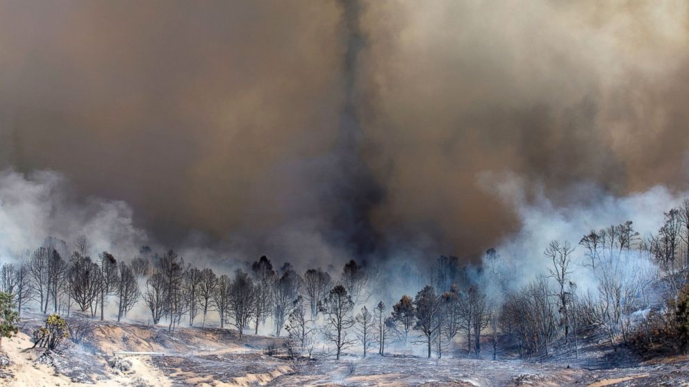 Smoke rises from a burned out grove of trees at the Blue Cut wildfire in Wrightwood, California, on Aug. 17, 2016.