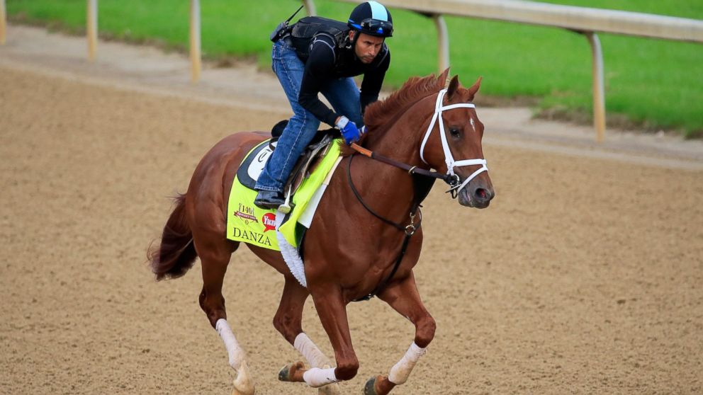 Danza ridden by Ezequiel Perez goes over the track during the morning exercise session in preparation for the 140th Kentucky Derby at Churchill Downs on April 30, 2014 in Louisville, Kentucky.