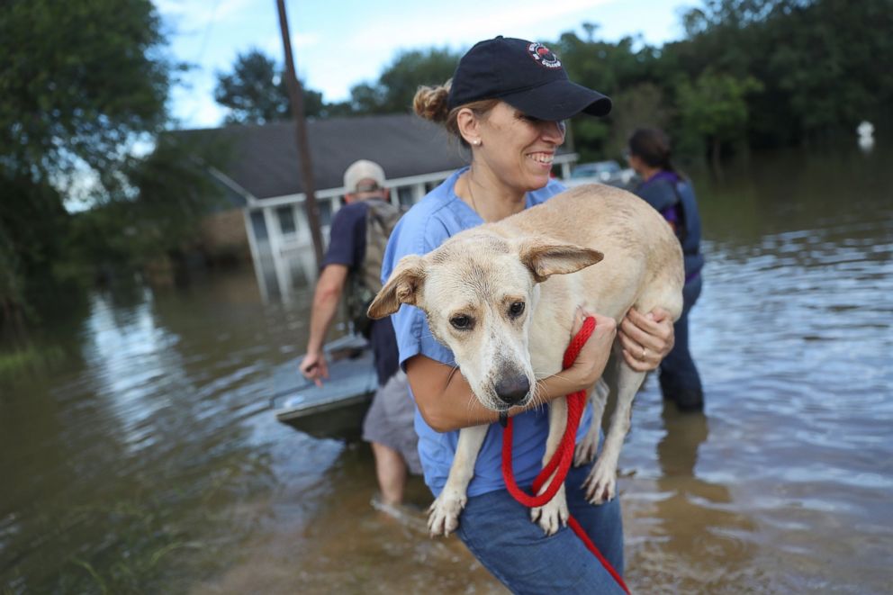 PHOTO: Ann Chapman from the Louisiana State Animal Response Team carries a dog she helped rescue from flood waters, Aug. 15, 2016, in Baton Rouge, Louisiana.