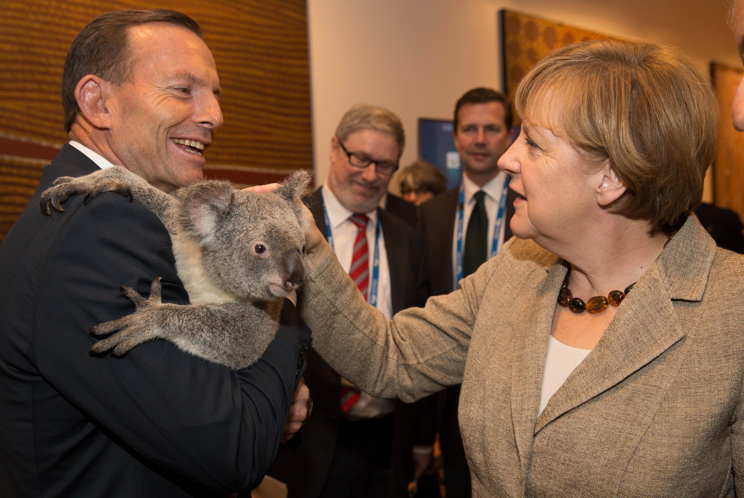 PHOTO: Australia's Tony Abbott cuddles Jimbelung the koala, while Chancellor Angela Merkel looks on 