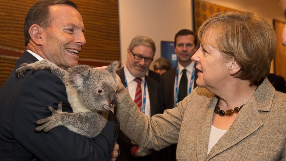 PHOTO: Australia's Tony Abbott cuddles Jimbelung the koala, while Chancellor Angela Merkel looks on 