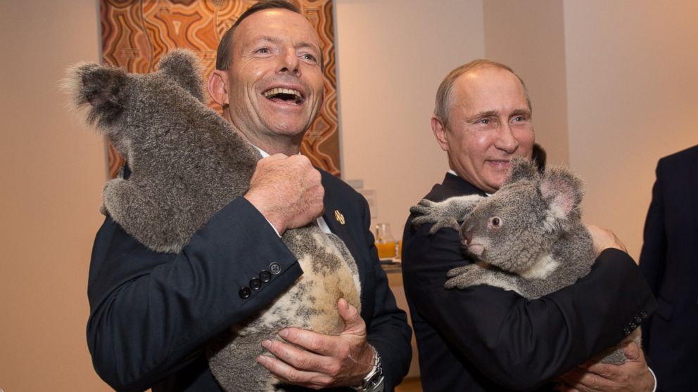 Australia's Prime Minister Tony Abbott and Russia's President Vladimir Putin meet Jimbelung the koala before the start of the first G20 meeting, Nov. 15, 2014 in Brisbane, Australia. 