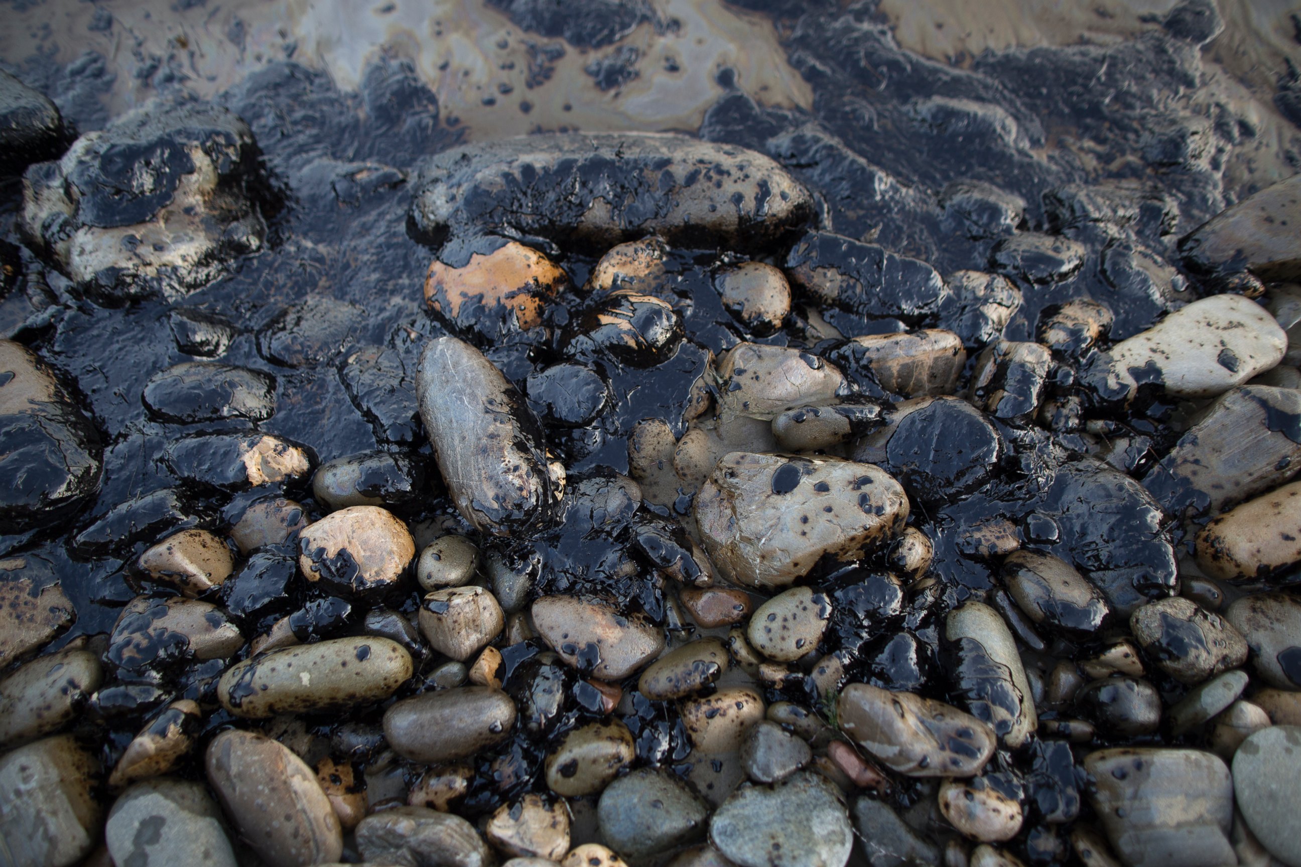 PHOTO: Spilled oil covers the beach at Refugio State Beach on May 19, 2015 north of Goleta, Calif.