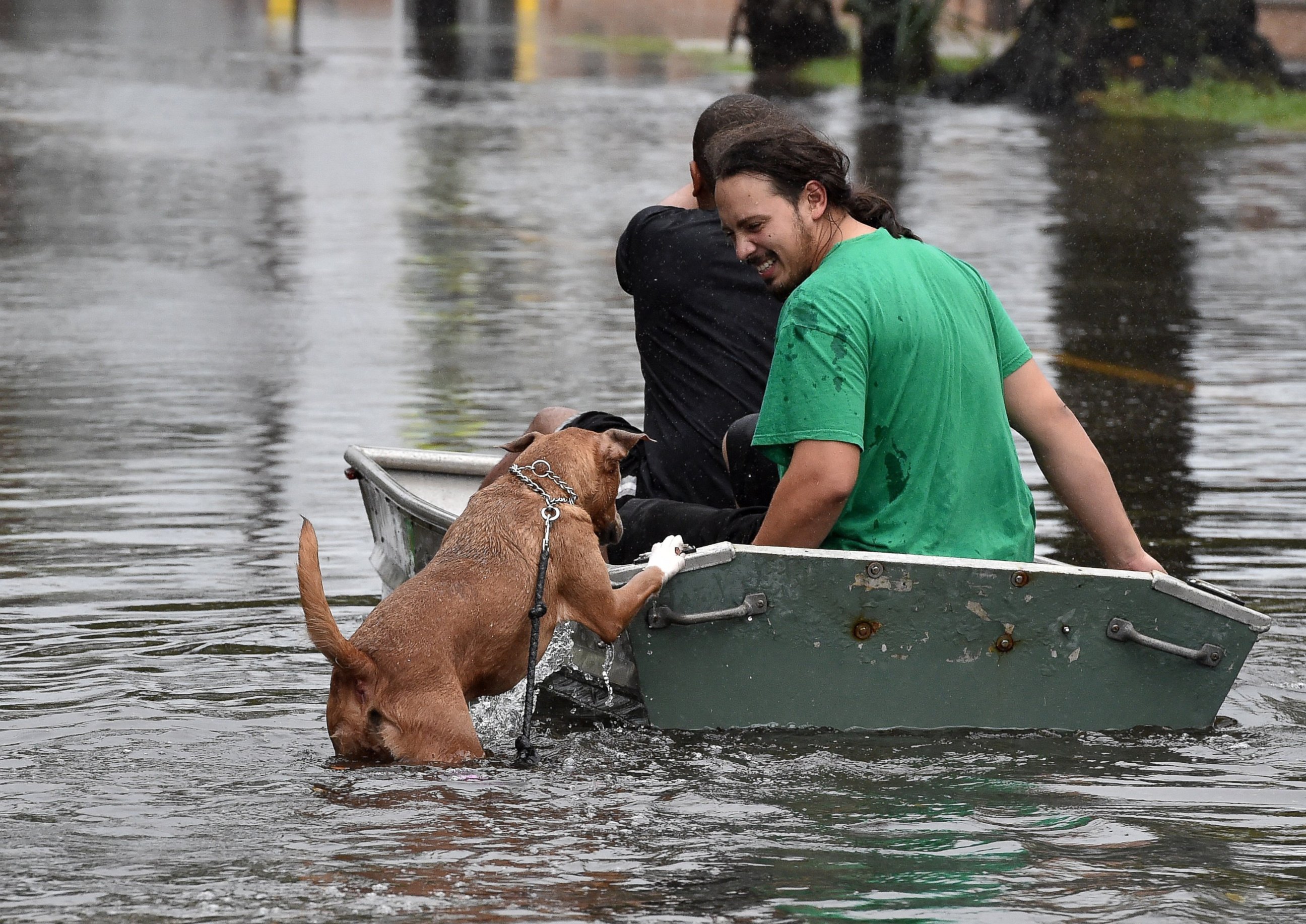 PHOTO: A dog tries to board a boat as two men row down a flooded street in Charleston, S.C., Oct. 4, 2015.