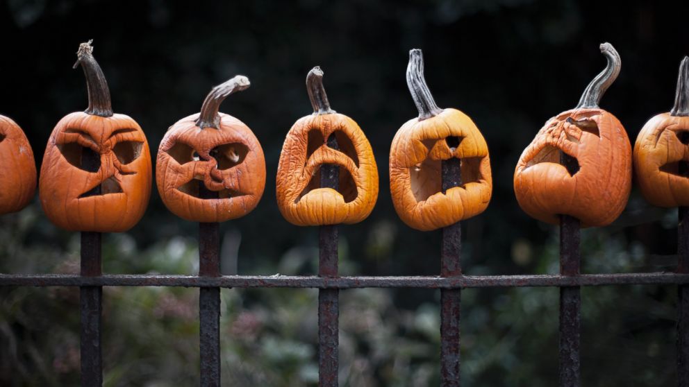 A row of scary carved pumpkins are pictured in this stock image. 