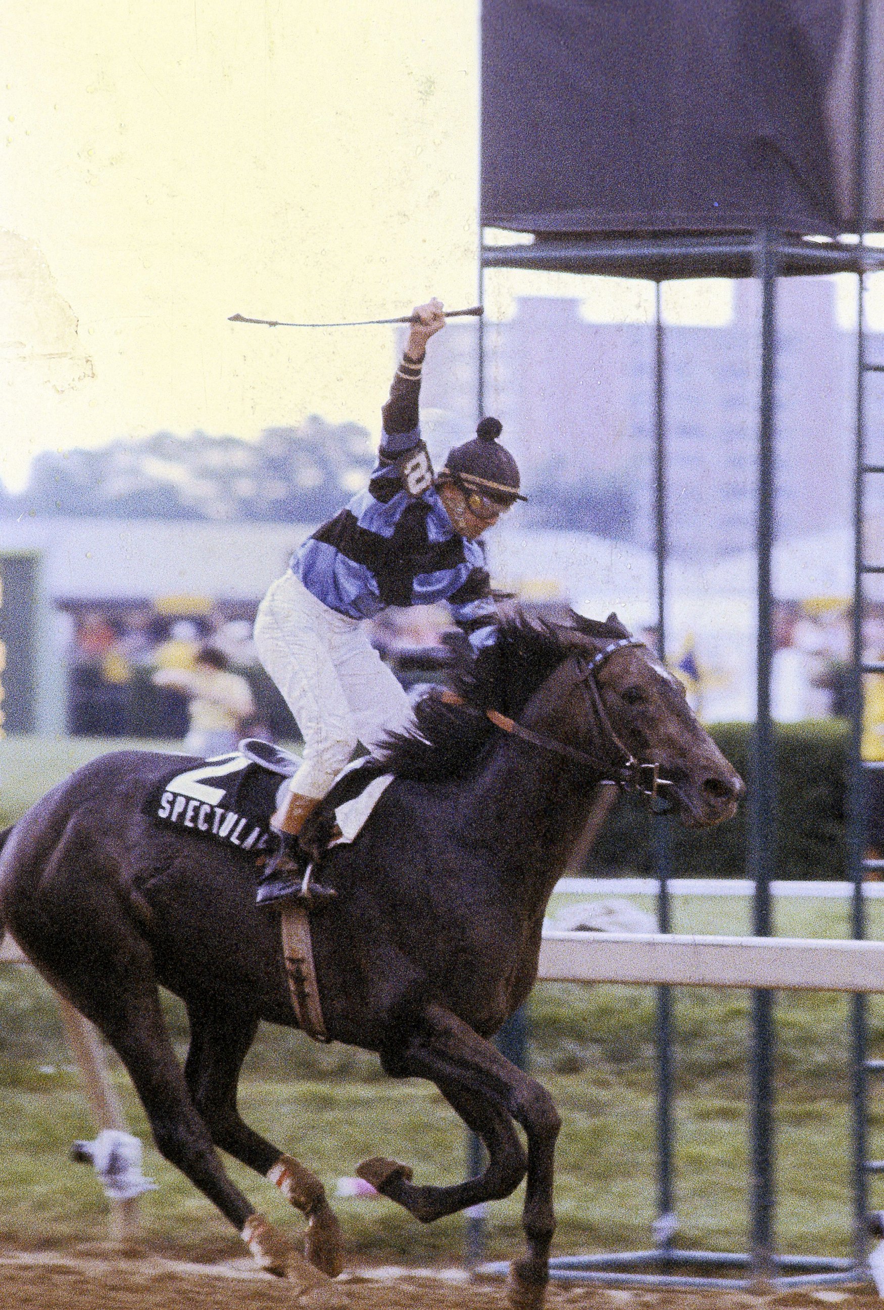 PHOTO: Jockey Ronnie Franklin sits atop of Spectacular Bid during the Preakness Stakes, May 18, 1979, at Pimlico Race Track in Baltimore, Maryland.
