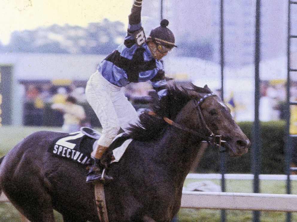 PHOTO: Jockey Ronnie Franklin sits atop of Spectacular Bid during the Preakness Stakes, May 18, 1979, at Pimlico Race Track in Baltimore, Maryland.
