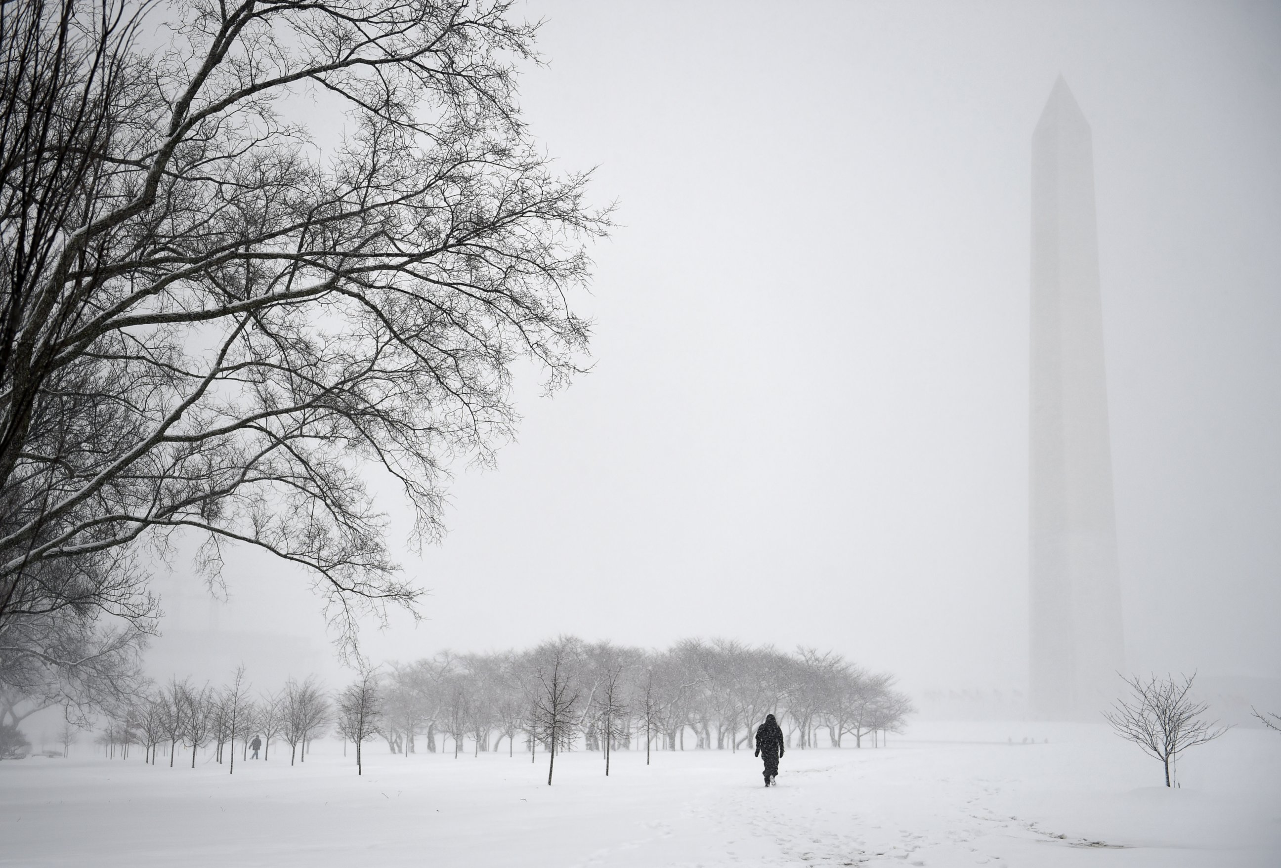 PHOTO:Not many visitors brave the snow for a walk at the National Mall while another snow storm hits with predicted record low temperatures and severe snow accumulations in Washington, D.C., March 5, 2015.  