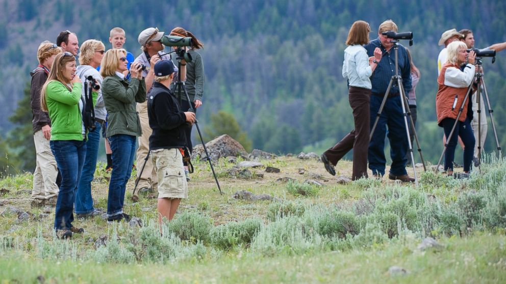 PHOTO: Tourists are pictured in Yellowstone National Park in Wyoming on July 13, 2011.
