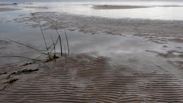Over 100 fishermen rescued from detached ice floe in Minnesota: Police - Vimarsana News