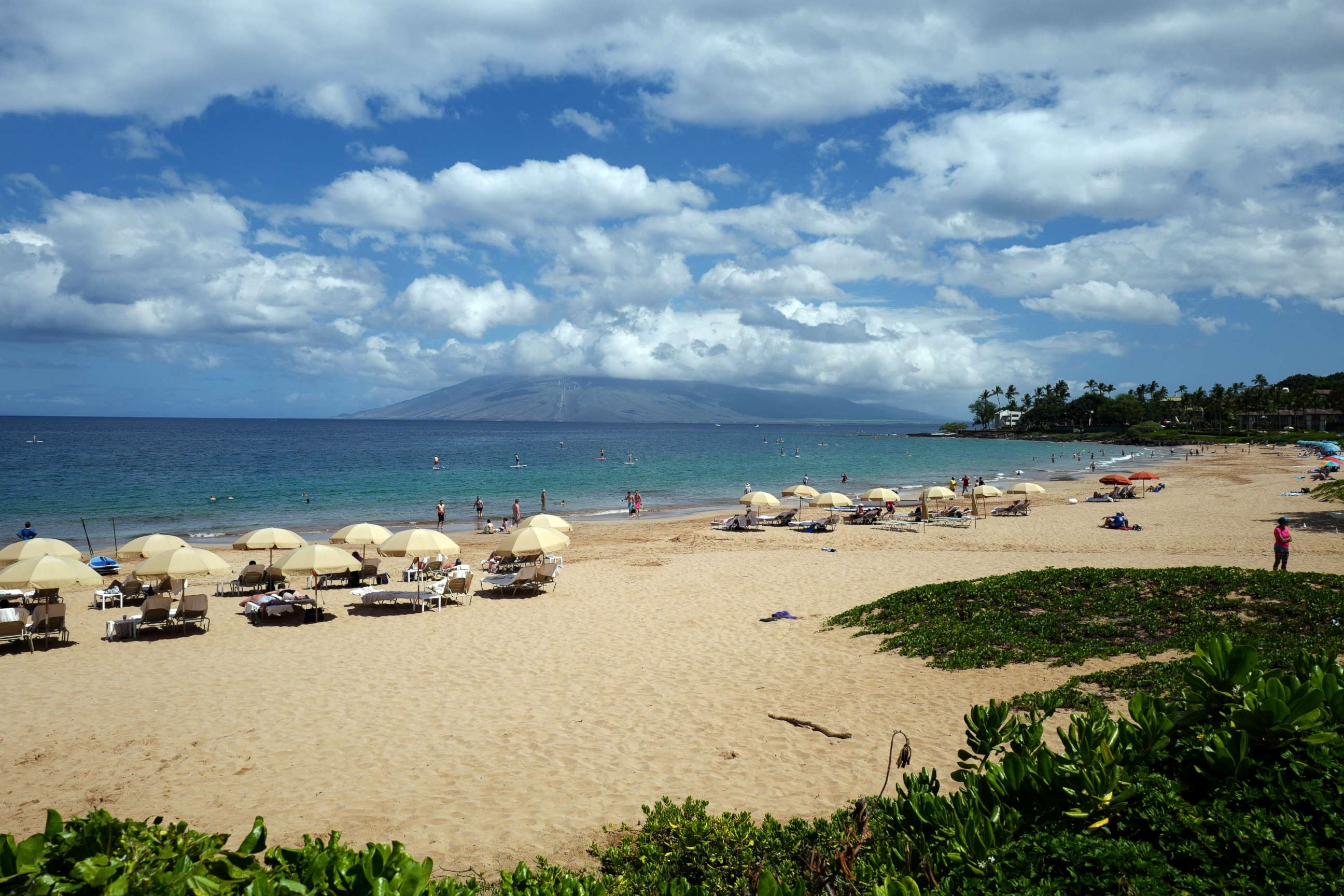 Nine people have drowned near Maui, Hawaii, since Jan. 14.