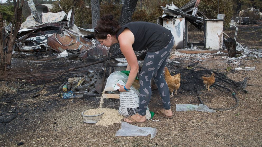 PHOTO: MIDDLETOWN, CA - SEPTEMBER 15:  Chandra Woodhouse feeds her chickens next to the ruins of her house, which burned in the Valley Fire, on September 15, 2015 in Middletown, California. 