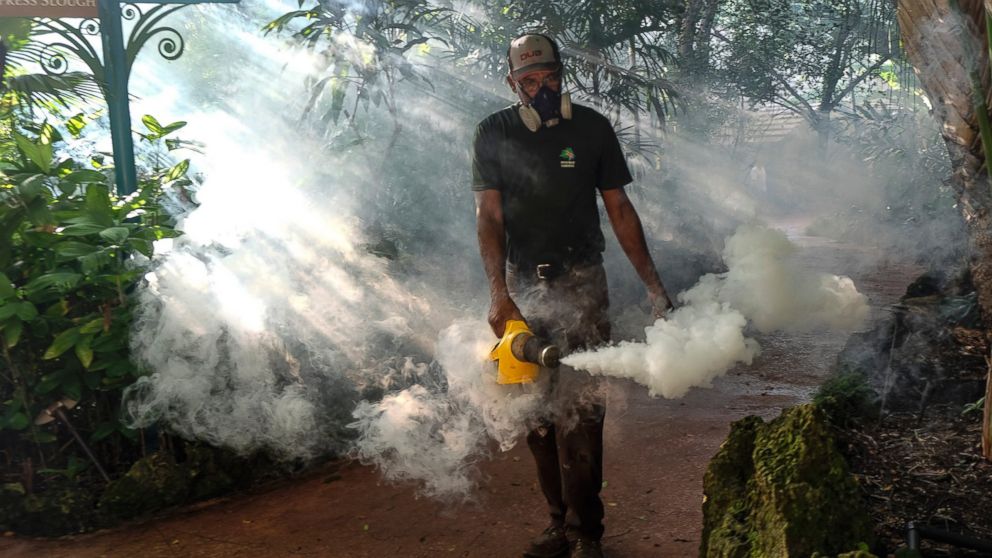 Fran Middlebrooks, a grounds keeper at Pinecrest Gardens, former home of the historic Parrot Jungle,  uses a blower to spray pesticide to kill mosquitos Aug. 4, 2016 in Miami, as Miami Dade county fights to control the Zika virus outbreak. There are a reported 25 individuals who have been infected with the Zika virus in South Florida. (Gaston De Cardenas/Miami Herald/TNS via Getty Images)