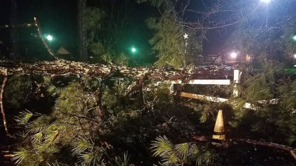 4 Killed After Tree Falls on Mobile Home During Storm - ABC News