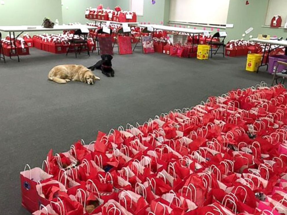 PHOTO: ICAN's Puppy Love Valentine project has service dogs trained by prison inmates deliver Valentine's Day treats throughout Indianapolis.