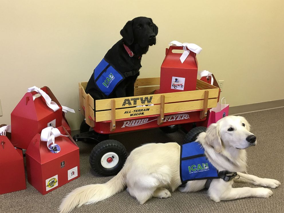 PHOTO: ICANs Puppy Love Valentine project has service dogs trained by prison inmates deliver Valentines Day treats throughout Indianapolis.