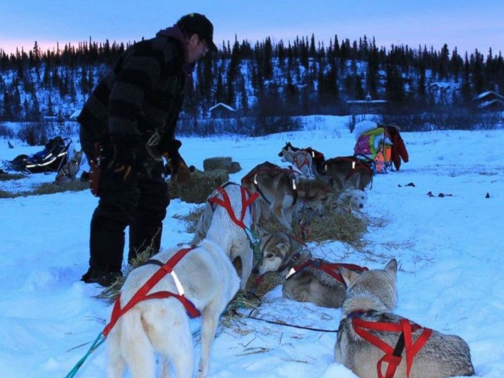 Why These 2 Mushers Brave Ice, Snow And Freezing Temps To Compete In 