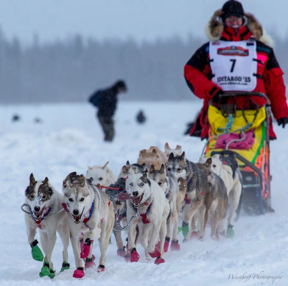 PHOTO: Alan Eischens of Wasilla, Alaska, with his dogs in the 2015 Iditarod. Eischens said he competes to raise awareness for pediatric diseases. 