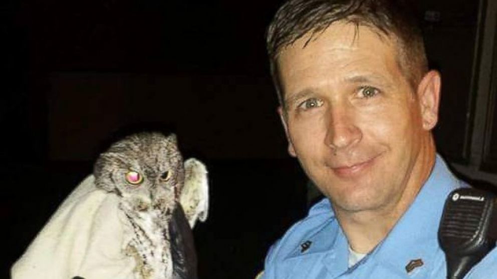 PHOTO: Today wasn't Sedgwick County Sgt. Justin Antle's first time rescuing a bird of prey. Last year, he retrieved an owl that had flown into a Kansas home.