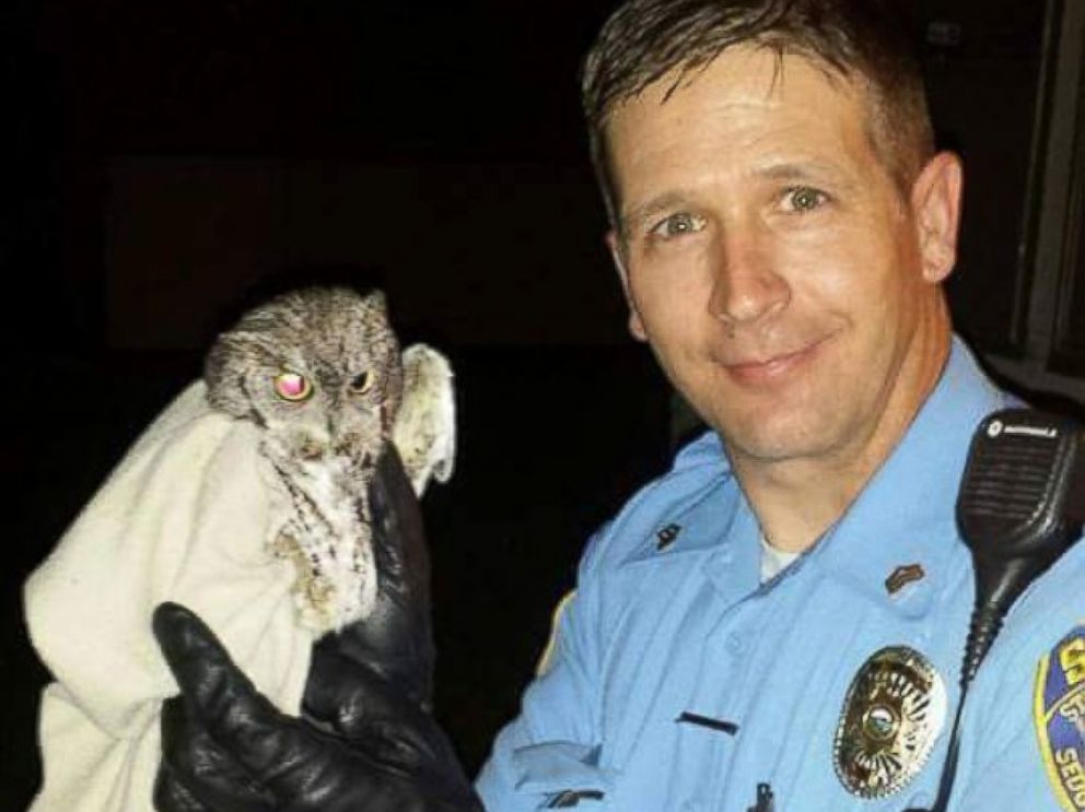 PHOTO: Today wasnt Sedgwick County Sgt. Justin Antles first time rescuing a bird of prey. Last year, he retrieved an owl that had flown into a Kansas home.