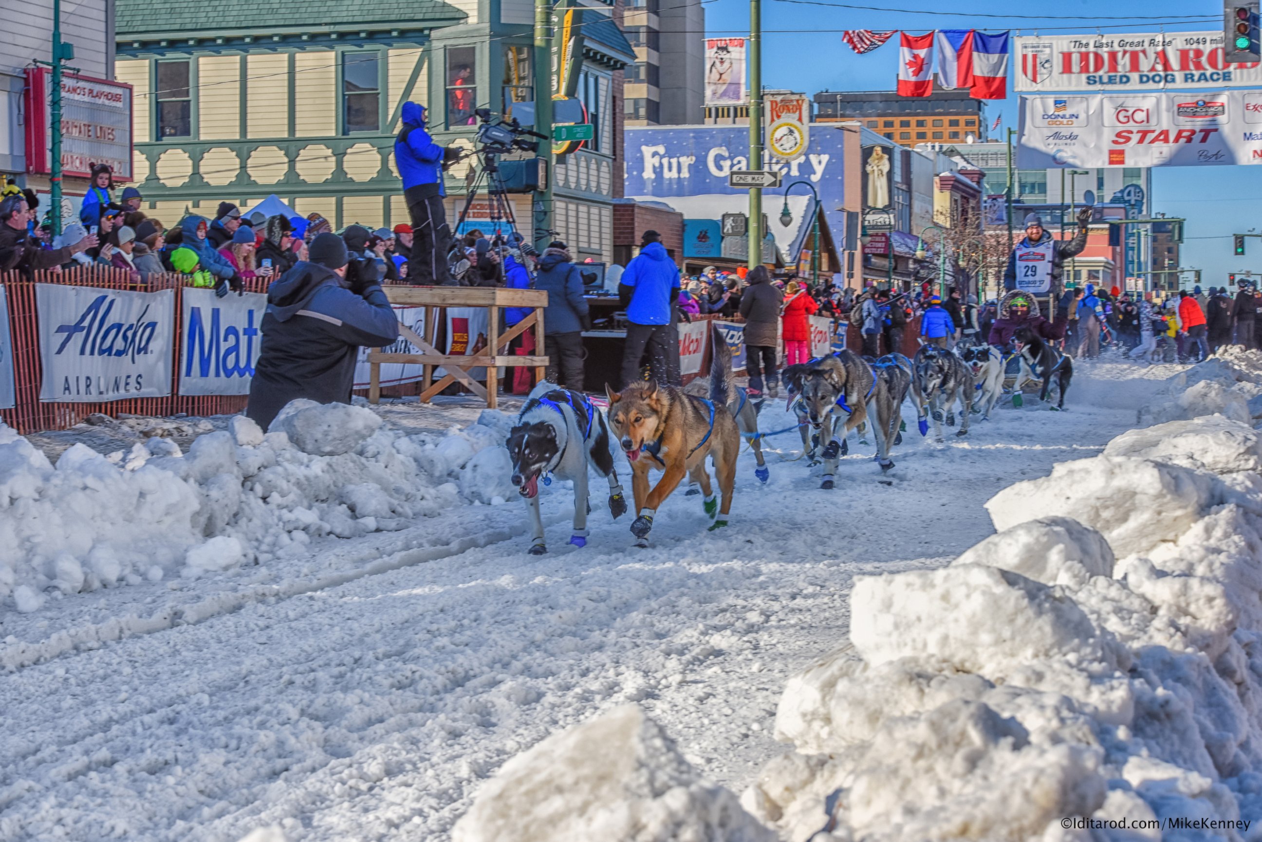 PHOTO: Seventy-two mushers are competing this year in the 2017 Iditarod race, 17 of whom are rookies. The oldest musher this year is 63; the youngest is 20.
