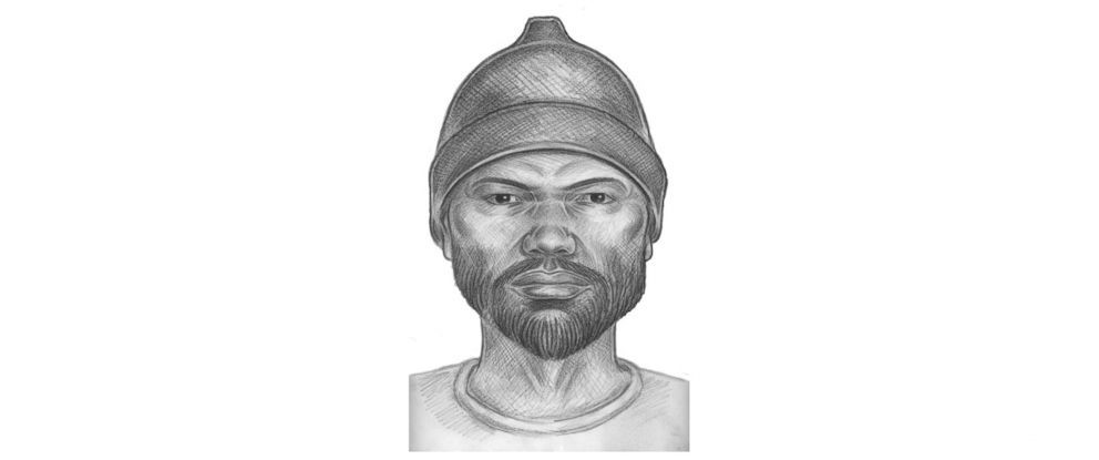 PHOTO: The New York Police Department released a sketch of the suspect in the murder of Karina Vetrano. 