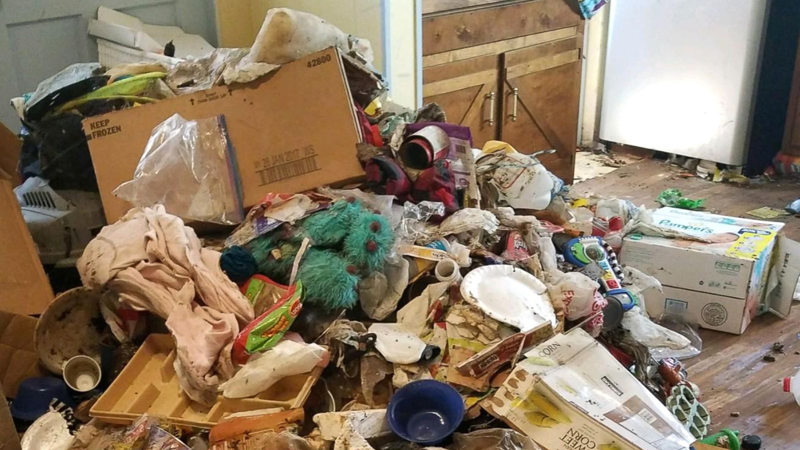 3 children, 21 animals removed from Tennessee home in 'deplorable