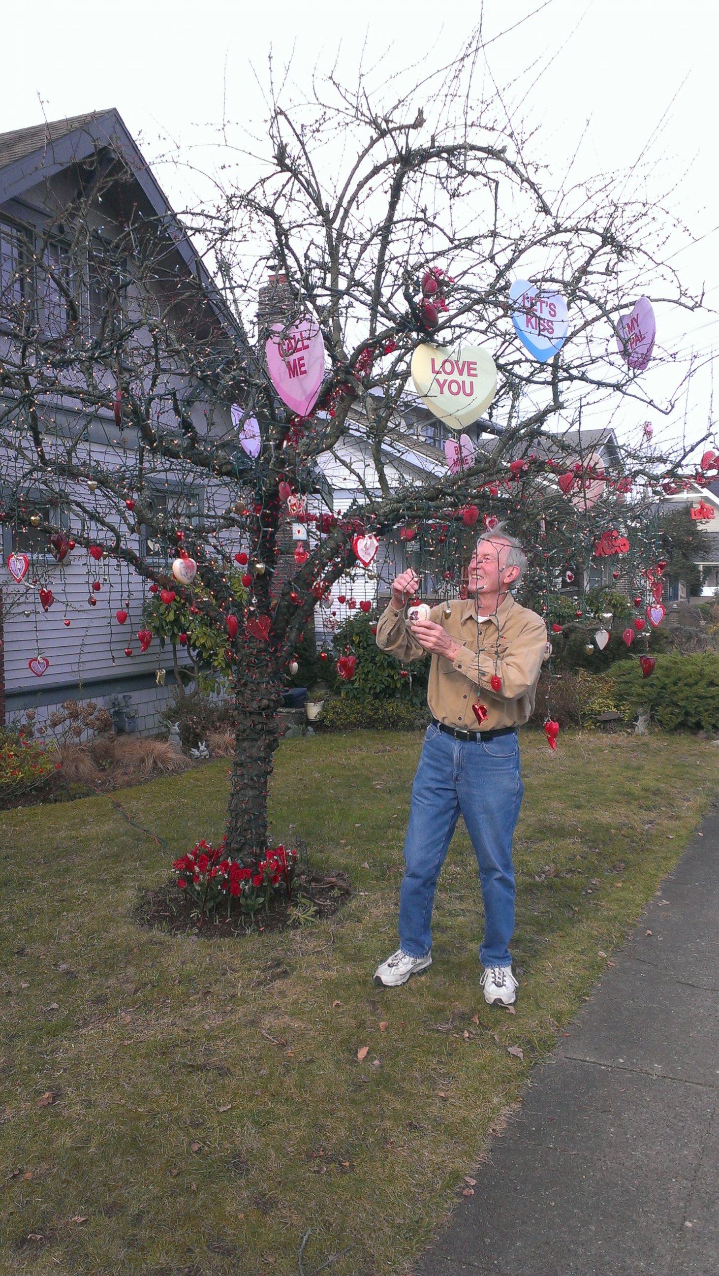 PHOTO: Herb Allwine, 73, decorates a tree outside of his Seattle home for every holiday in memory of his wife, Mary Lou, who passed away in 2009.