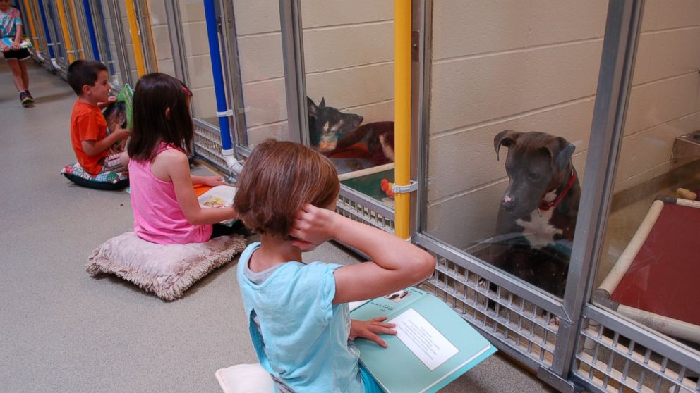 Ryan Huntebrinker, left, Norah Huntebrinker and Makenna Klepacki read holiday stories to a Humane Society of Missouri shelter dog during the Deck the Howls event for the Shelter Buddies Reading Program.