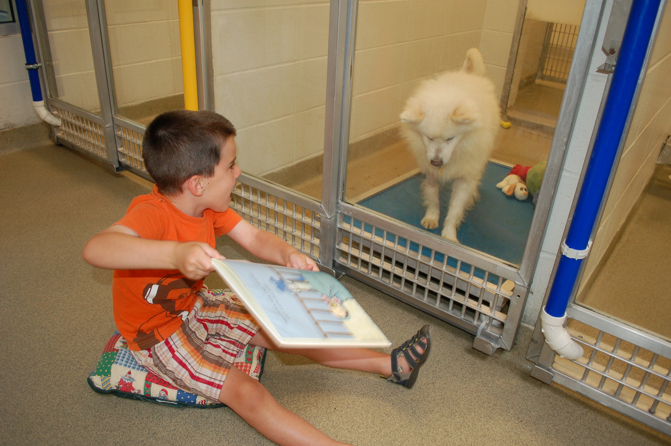 PHOTO: Ryan Huntebrinker reads holiday stories to a Humane Society of Missouri shelter dog during the Deck the Howls event for the Shelter Buddies Reading Program.
