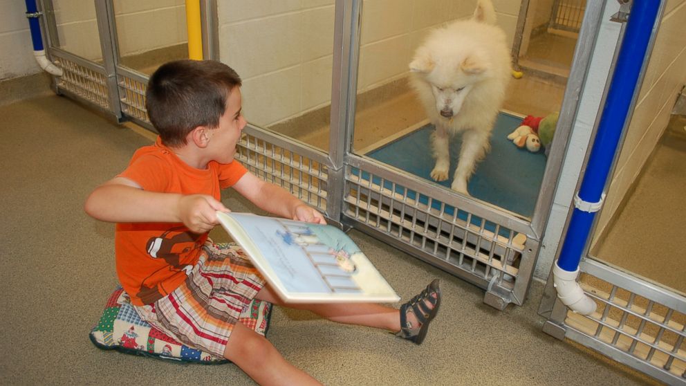PHOTO: Ryan Huntebrinker reads holiday stories to a Humane Society of Missouri shelter dog during the Deck the Howls event for the Shelter Buddies Reading Program.
