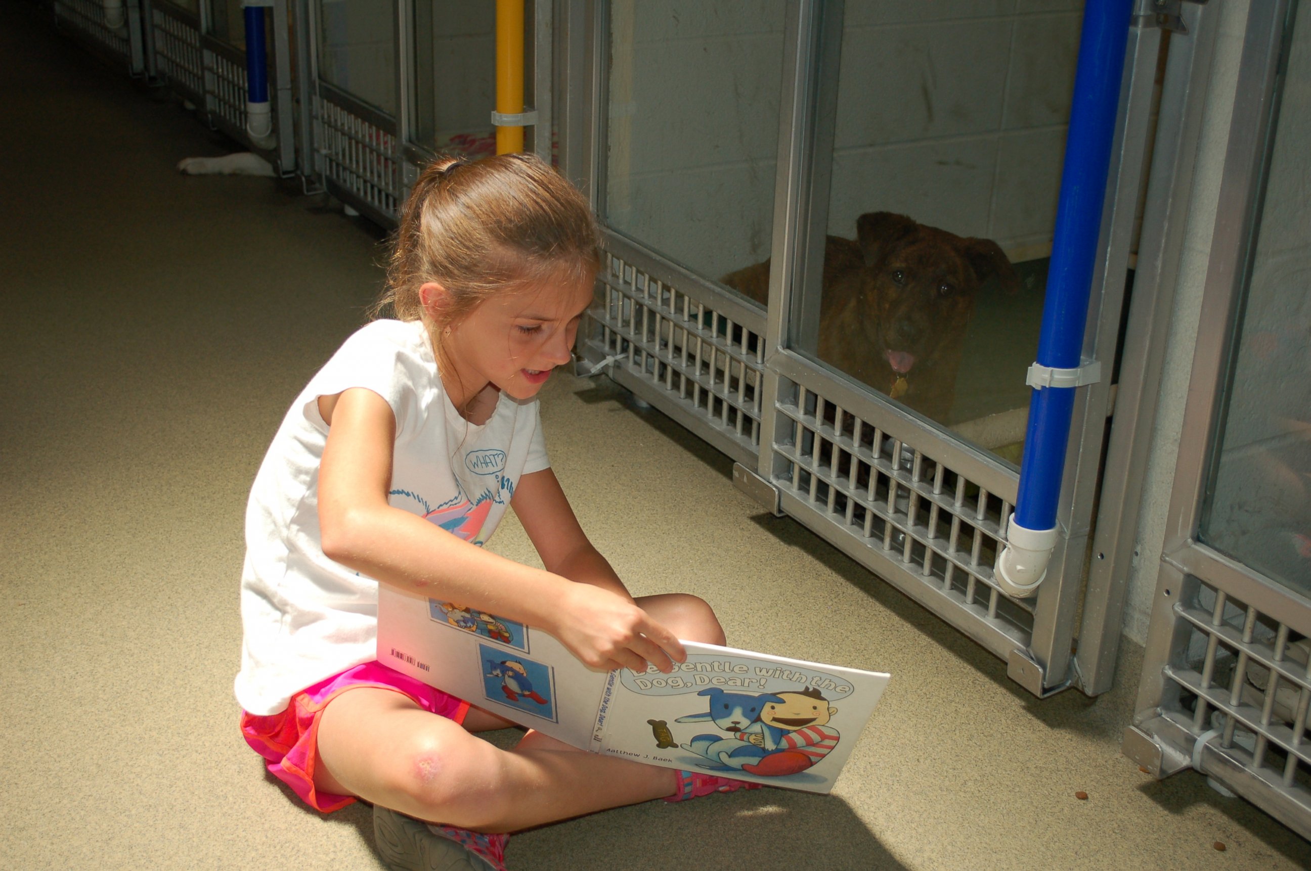 PHOTO: Caitlyn Huntebrinker reads holiday stories to a Humane Society of Missouri shelter dog during the Deck the Howls event for the Shelter Buddies Reading Program.