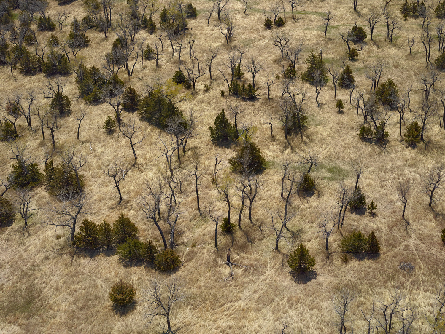 Along The Bad River Haakon County South Dakota 2014 Picture East And West Capturing The 3846