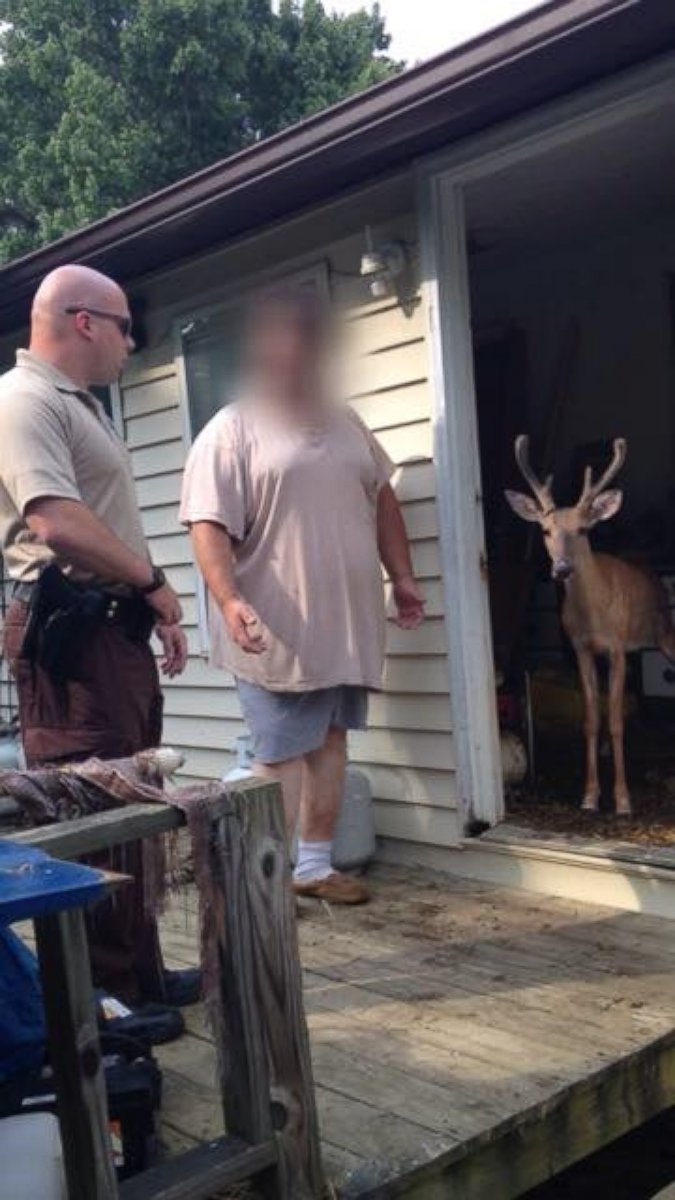 PHOTO: A deer is seen at a West Virginia home in an image released by the West Virginia Natural Resources Police, July 6, 2015.