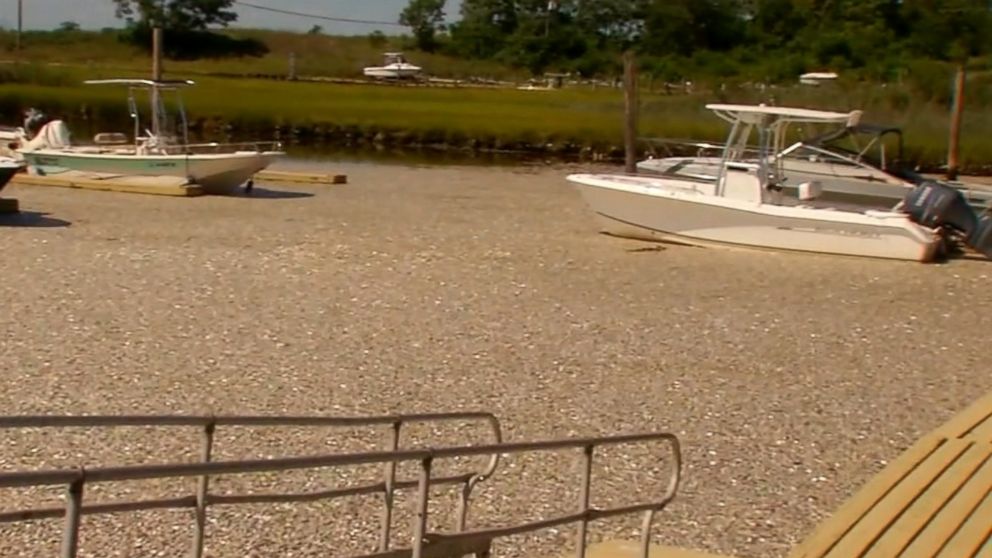 PHOTO: Hundreds of thousands of dead fish have turned up in Waackcaack Creek in Keansburg, New Jersey. 