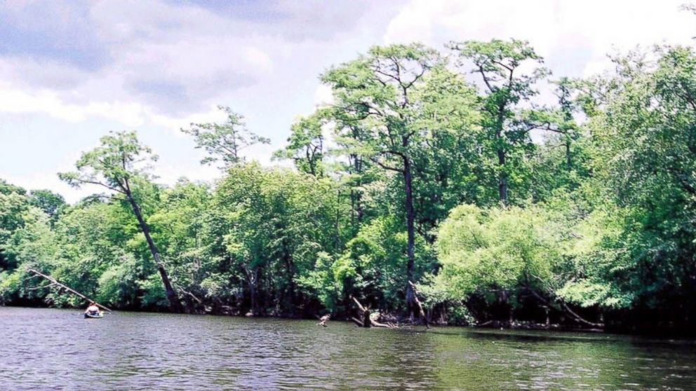 PHOTO: The Edisto River in Charleston County, South Carolina, is pictured here in this undated photo.