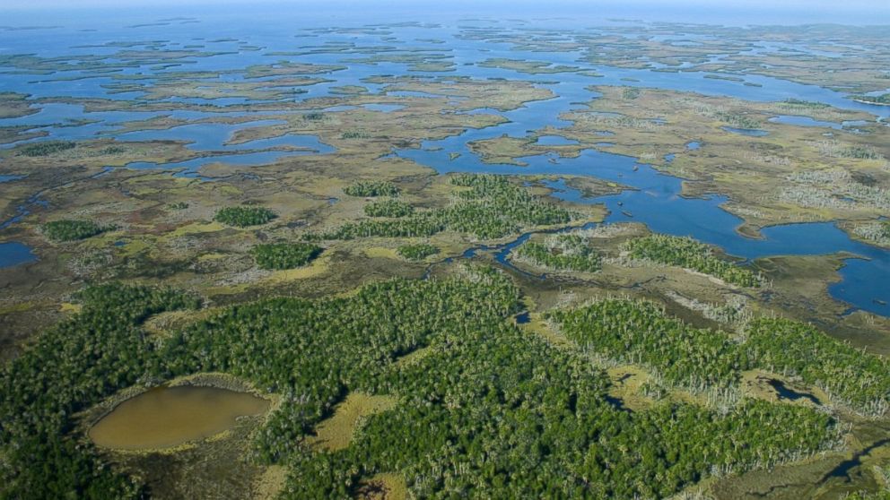PHOTO: Aerial image of the costal marsh at Chassahowitzka National Wildlife Refuge, located approximately 65 miles north of St. Petersburg, Florida. 