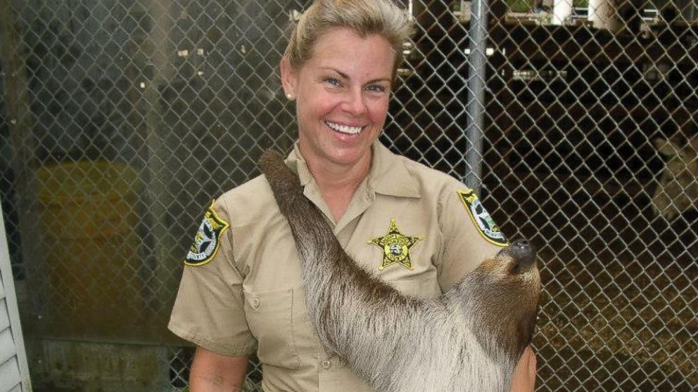 PHOTO: Monroe County Sheriff's officer holding a sloth. Inmates at Stock Island Detention Center in Monroe County, Florida care for abandoned animals in a program that benefits both the animals and the inmates.