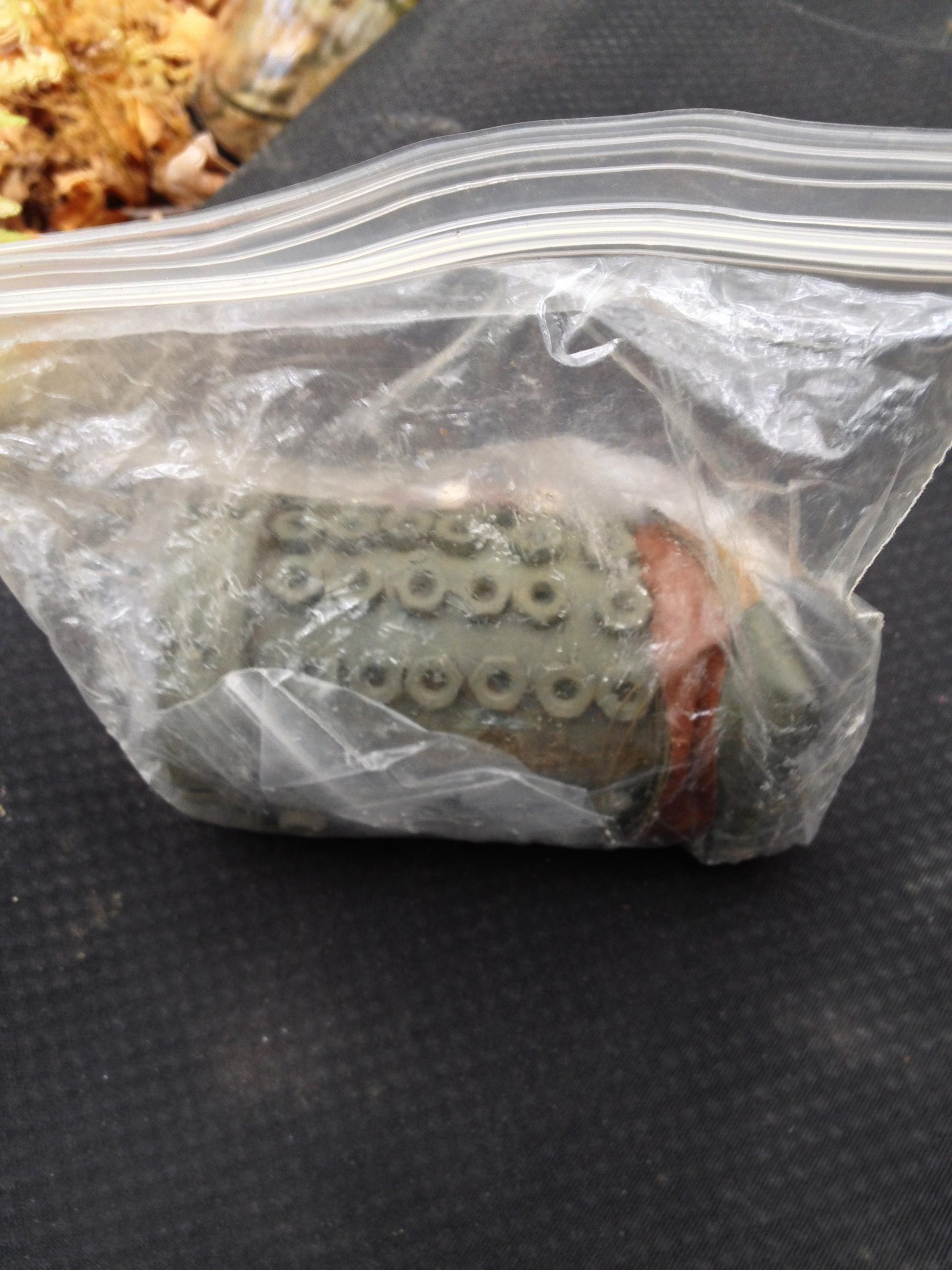 PHOTO: One of the pipe bombs police found in the ongoing manhunt for cop shooting suspect Eric Frein.