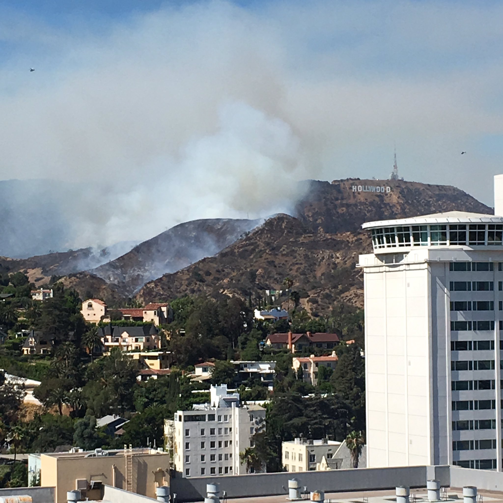 PHOTO: A brush fire burns in the Hollywood Hills in Los Angeles on July 19, 2016.