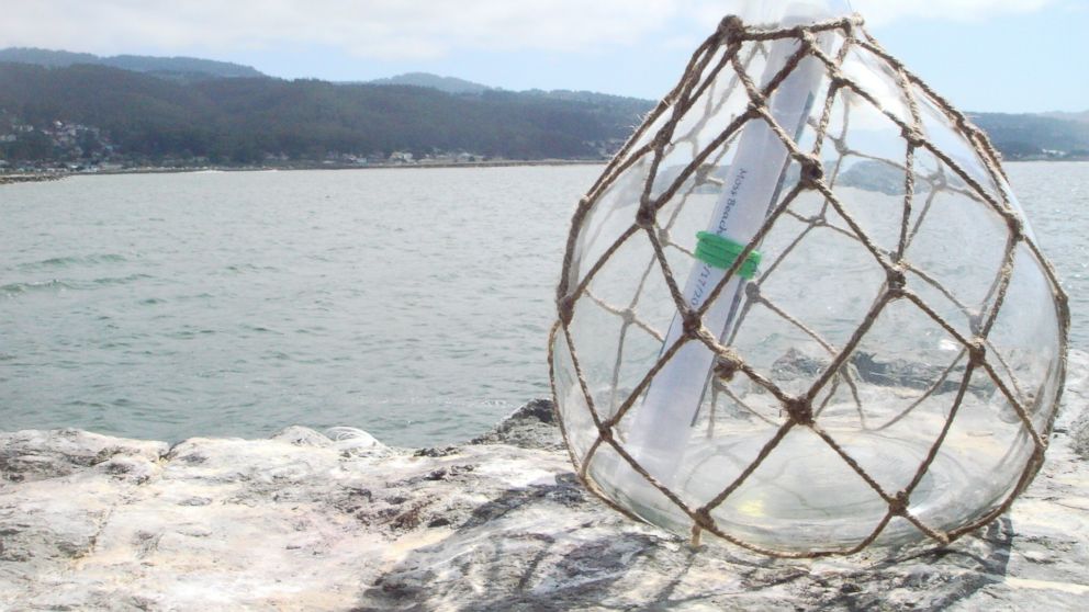 Melvin's message in a bottle before it was thrown back into the Pacific Ocean.