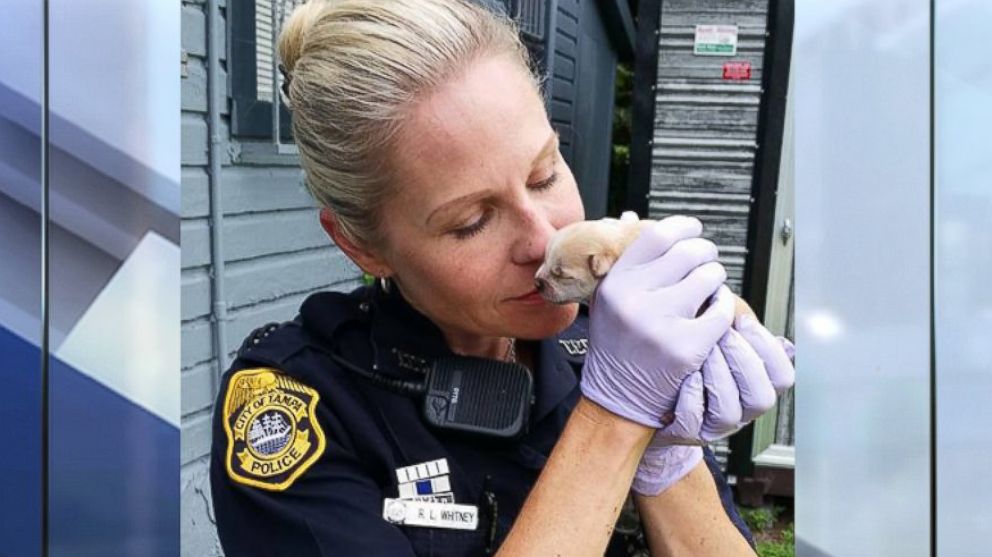 PHOTO: Tampa Police Department Sgt Simonson, MPO Barrett, Ofc Whitney, along with Hillsborough Animal Safety Ofc Lewis rescued mom and pups from the garbage in Tampa, Fla. on Sept. 14, 2015.