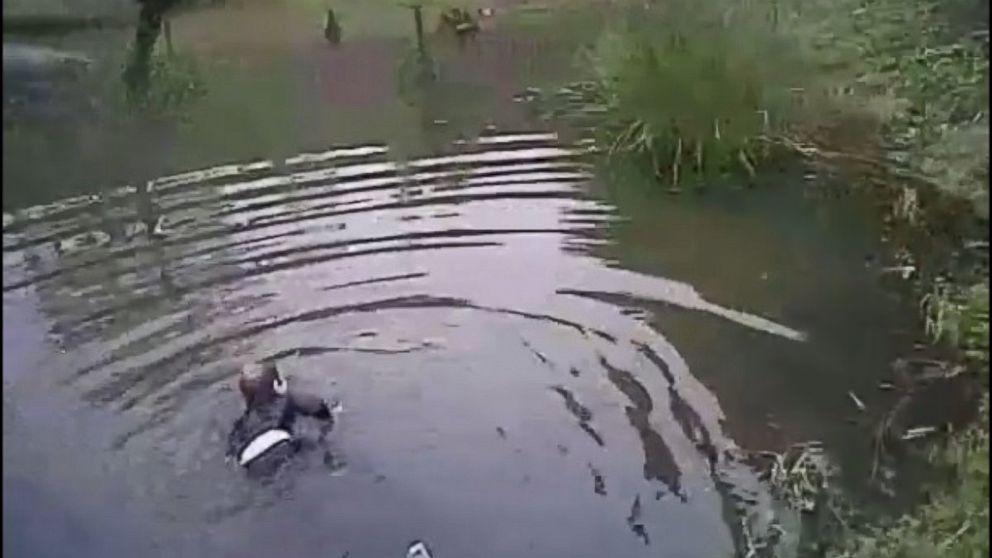 VIDEO: Hero cop reunites with boy he rescued from pond 