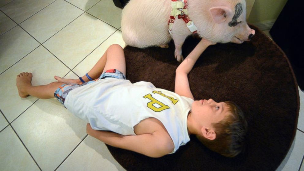 PHOTO: Rori Halpern says Wilbur, a potbellied pig, is ‘a part of the family.’